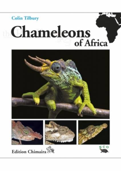 Chameleons of Africa